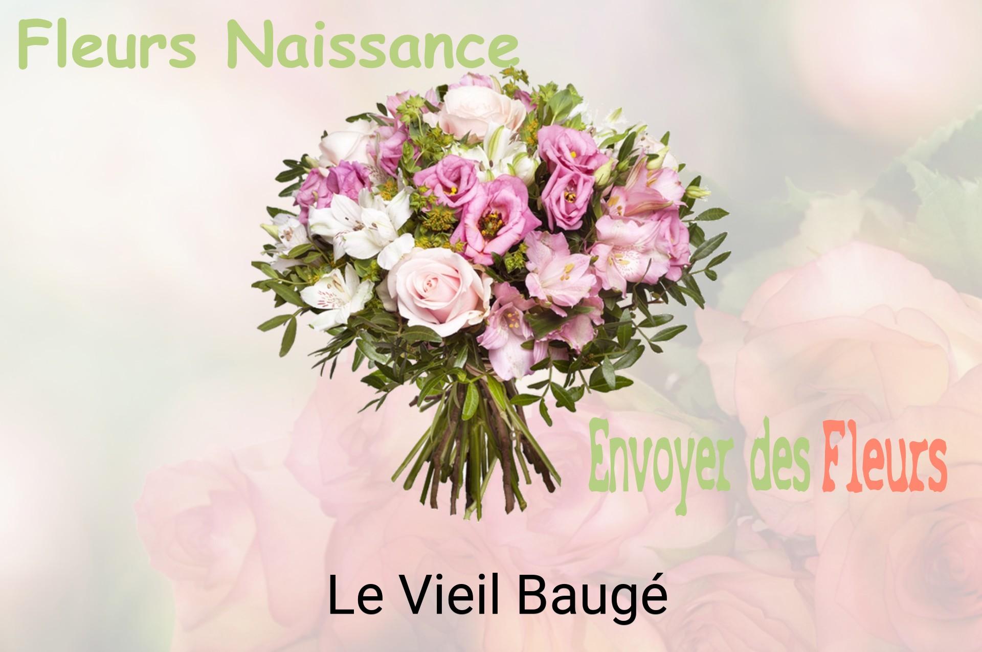 Bouquet de fleurs de naissance livré à Le Vieil-Baugé