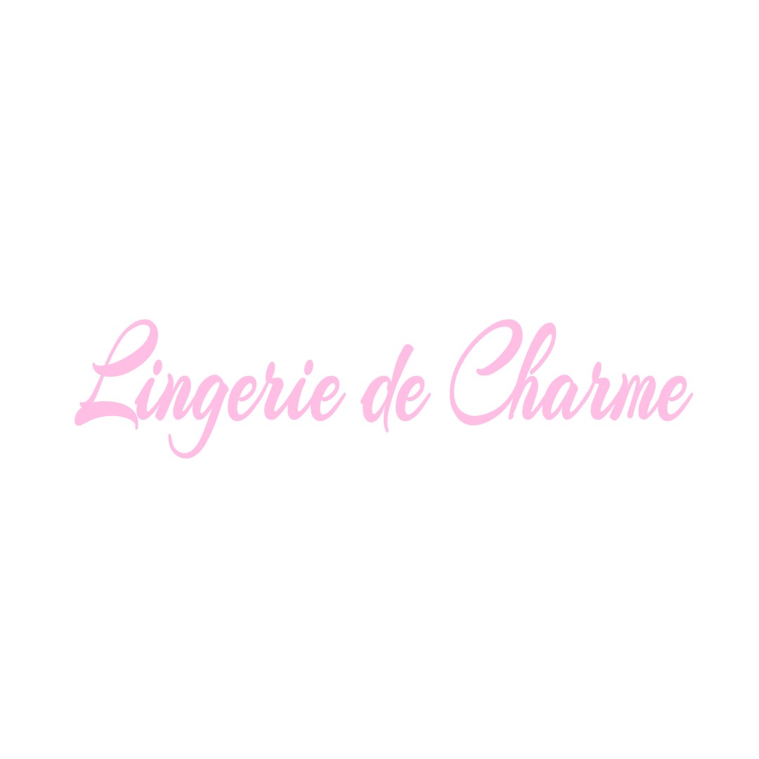 LINGERIE DE CHARME LE-VIEIL-BAUGE